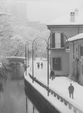 Sotto la neve. Via Bertelli